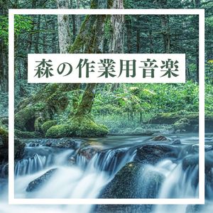 静寂な森