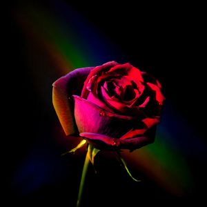 ＂忏悔＂Boombap/Freestyle/Diss Type Beat