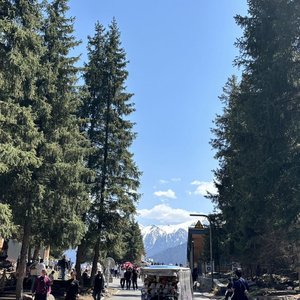 ЖАСТЫҚ ЖАНЫ