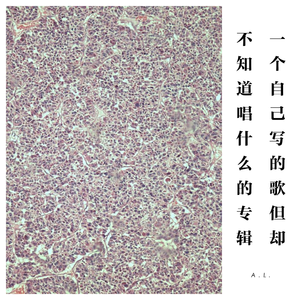 骚气的想做成TRAP