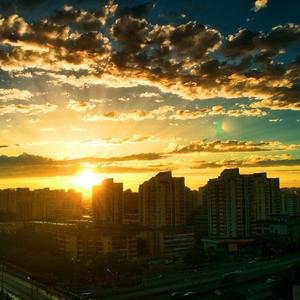 我听见你的声音