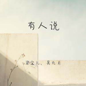 有人说