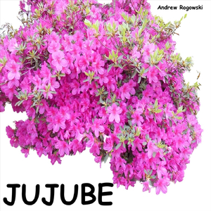 Jujube