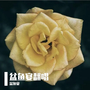 月光（COVER胡彦斌）