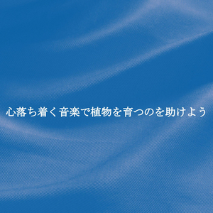 Beautiful Ambience for Refreshing Mood