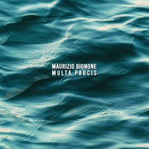 Multa Paucis