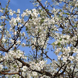 因为我遇到了你