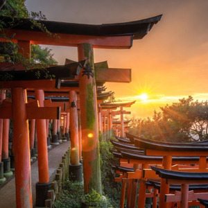 伏見稲荷 ～Fushimi Inari~