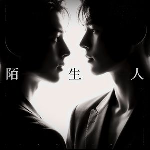 《陌生人》