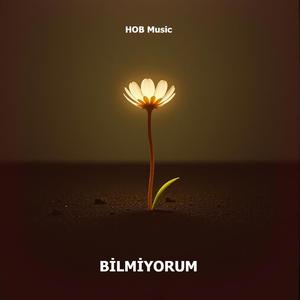 Bilmiyorum