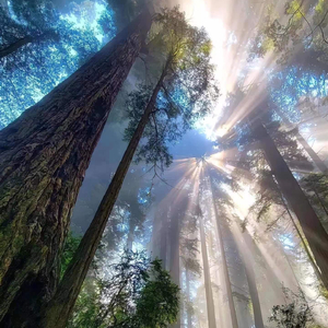 天上有明月碎碎圆圆