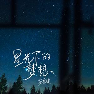 星光下的梦想