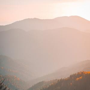 雨声助眠 (阿尔法脑波音乐)