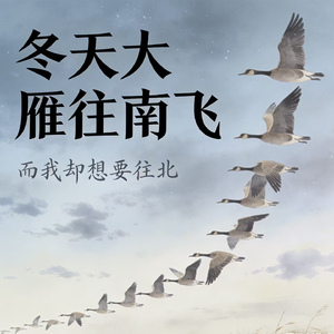 冬天大雁往南飞(而我却想要往北)