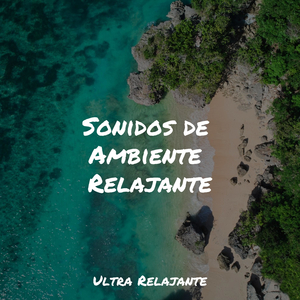 Reino Del Sueño