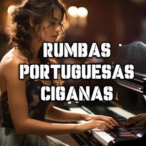 Rumbas Portuguesas Novo Tema Dj Diego 2k26
