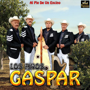 El Son De La Chachalaca