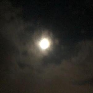 想管你也管不到 prod MEGA