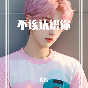 不该认识你 伴奏