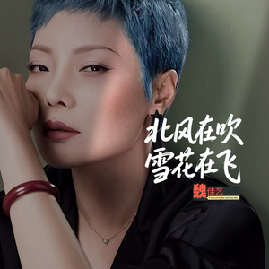 北风在吹雪花在飞