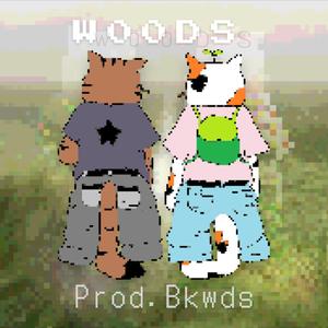 WOODS (feat. Bkwds)