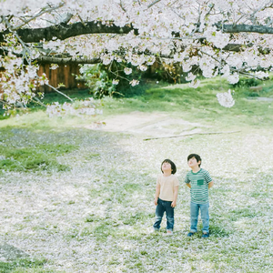 莫愁乡-寄学生（awslsss）