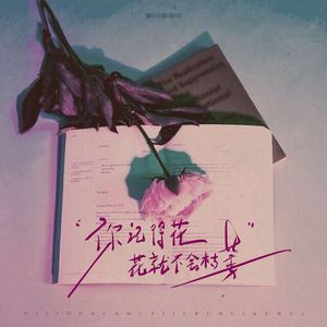 星光下爱暖梦途