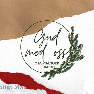 Himmelska ljusets högtid