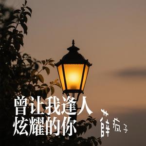 曾让我逢人炫耀的你