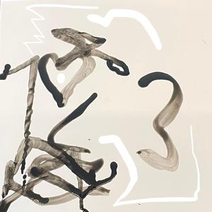 Shadow