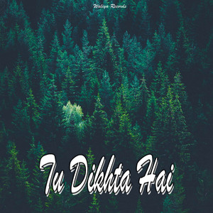 Tu Dikhta Hai