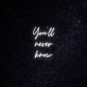 You'll Never Know