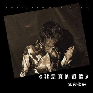 我是真的很傻 伴奏