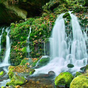 Streamside's Ensemble of Effort