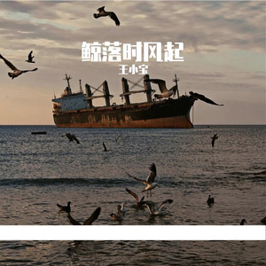 鲸落时风起 伴奏