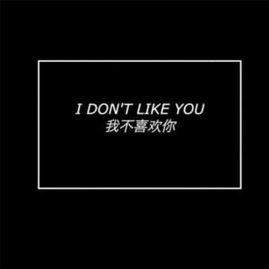 梁老师Tsong-不如不见面(Remix)