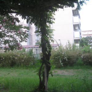 この最悪な時代に生まれたことを誇る