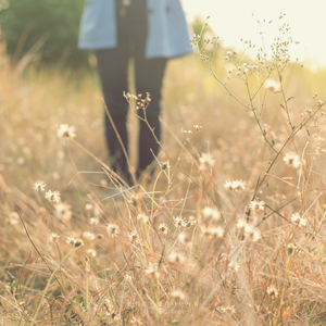 봄이 오면 생각나는 사람