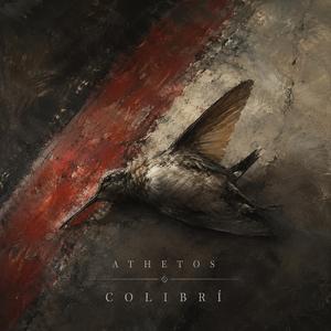 Colibrí