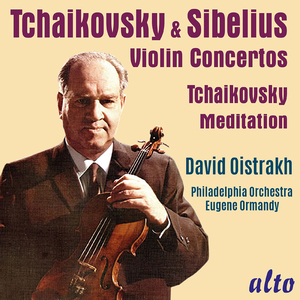 Violin Concerto in D Minor, Op. 47: I. Allegro moderato