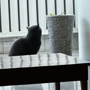 我们到最后终于变成朋友（Cover王睿）