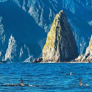 фьорды（峡湾）