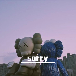 sorry(Prod by FERRISON)