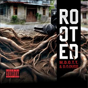 1.O.T.D. (One Of Them Days)