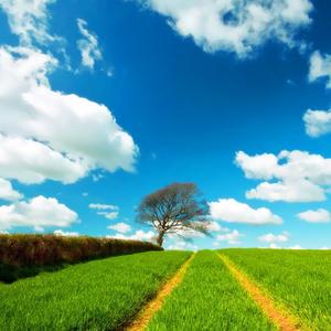 你在雨中的舞步