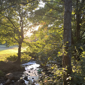 Sensommervise (Live)