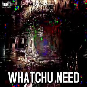 Whatchu Need (feat. Kash Dolliona)