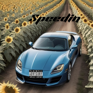 Speedin