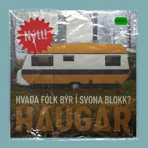 Hvaða fólk býr í svona blokk?