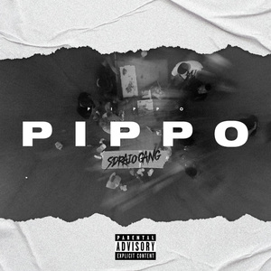 Pippo